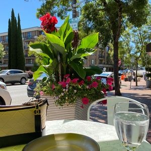 Meet your Posher, Estelle